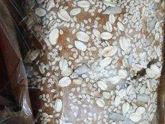 -红宝石·鲜奶小方·海派西点房(金杨店)