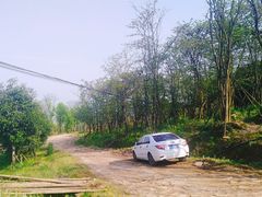 -铁山坪森林公园