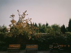 -草场地艺术区