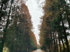 -山王坪喀斯特国家生态公园