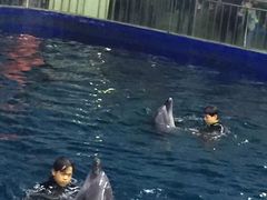 -石家庄极地海洋世界