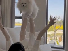 -爱侣宠医·鹦鹉专科·小型哺乳类·异宠专科(灵石路店)