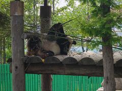 -西霞口神雕山野生动物世界