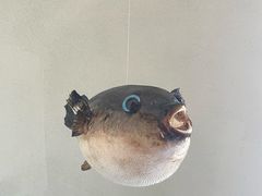 -天正河鲀·河豚亭(大连店)