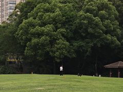 -温江公园