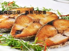 香煎马胶鱼-新梅园不夜粥(龙华店)