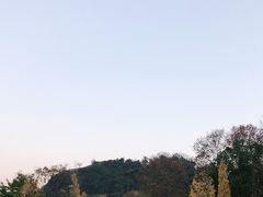 -阿哈湖国家湿地公园