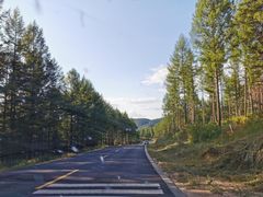 -塞罕坝国家级自然保护区