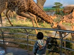 -国家自然博物馆