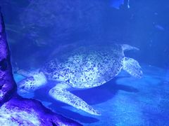 -乌鲁木齐海洋馆