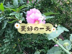 -天津东丽湖风景区