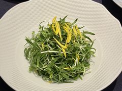 -石泉私宴