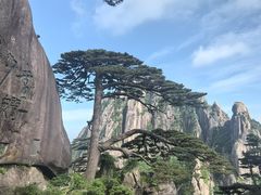 -黄山风景区