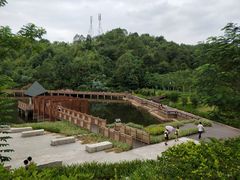 景点-神光山国家森林公园