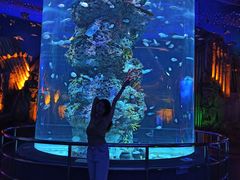 -芜湖新华联大白鲸海洋公园