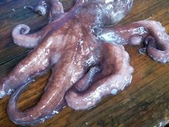 -海上驿站渔家菜馆