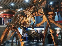 -国家自然博物馆