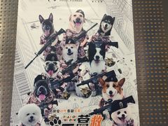 -广州市力美健天娱健身运动有限公司