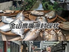 -金山嘴渔村