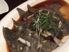 -半岛凯豪大酒店-海鲜自助餐厅