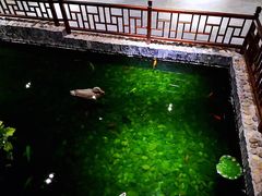 -乌镇东栅景区