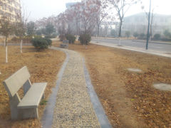 -晓庄学院-食堂
