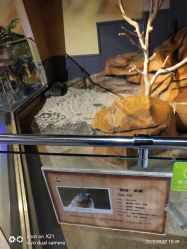 -未来动物城动物主题公园(大悦城店)