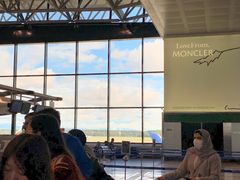 -米兰马尔彭萨国际机场