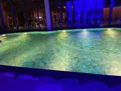 -上海滴水湖皇冠假日酒店