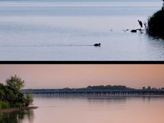 -丁香湖公园