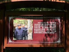 -牛背梁国家森林公园