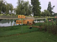 -云南滇池花园国际大酒店温泉