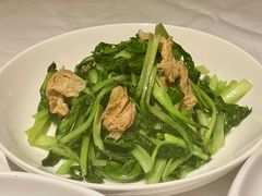 鸡毛菜炒腐衣-玫瑰厅上海菜(兴国路店)