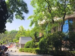 -棒棰岛宾馆景区