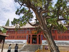 -中岳庙