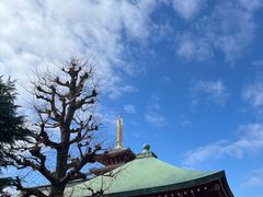 -浅草寺
