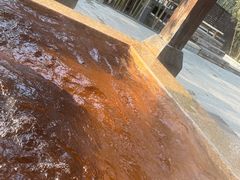 -春晖园度假酒店温泉