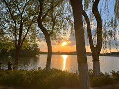 -大兴滨河森林公园