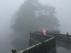 -庐山风景区花径公园