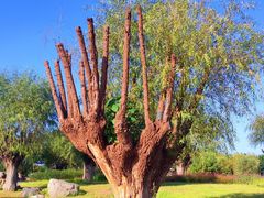 -汉长安城未央宫国家考古遗址公园