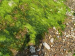 -那香海钻石沙滩浴场