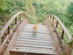 -桃花岛景观公园