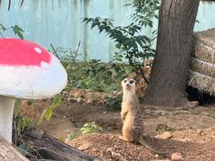 -无锡动物园·太湖欢乐园