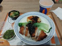 -吉野家(红博中央公园店)