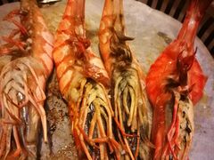 -熊出没日本烧肉放题