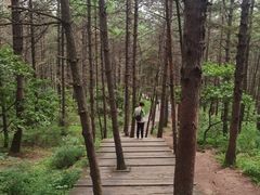 -帽儿山国家森林公园