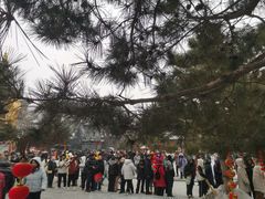 -哈尔滨极乐寺