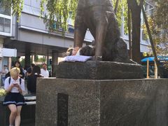 -涩谷全向十字路口