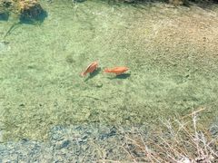 -夏霖九天银瀑风景区