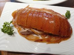 -北京老铺烤鸭(老城根店)